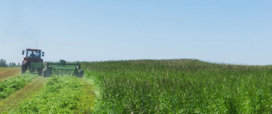 Bush hogging field near Emmaus, PA.