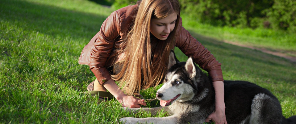 Child with dog on safely treated lawn for sod webworms in Breinigsville, PA.