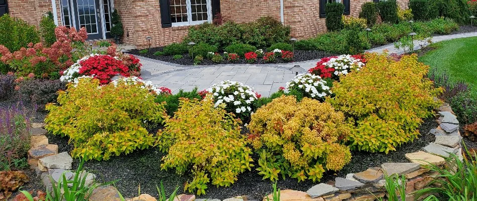Colorful flowers and shrubs in a raised planter bed in Dorneyville, PA.