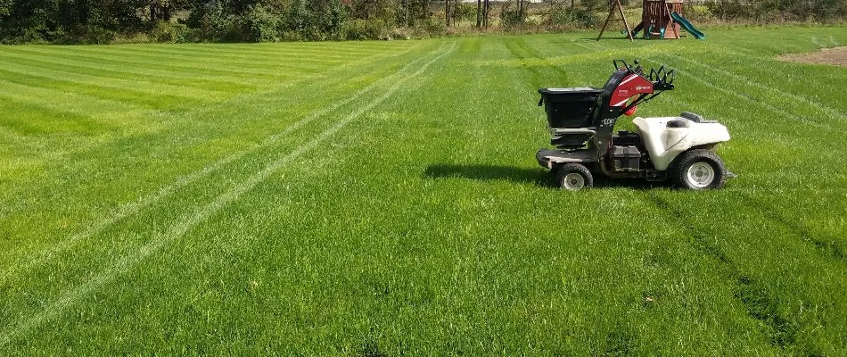Thick, lush lawn with fertilization near East Greenville, PA.