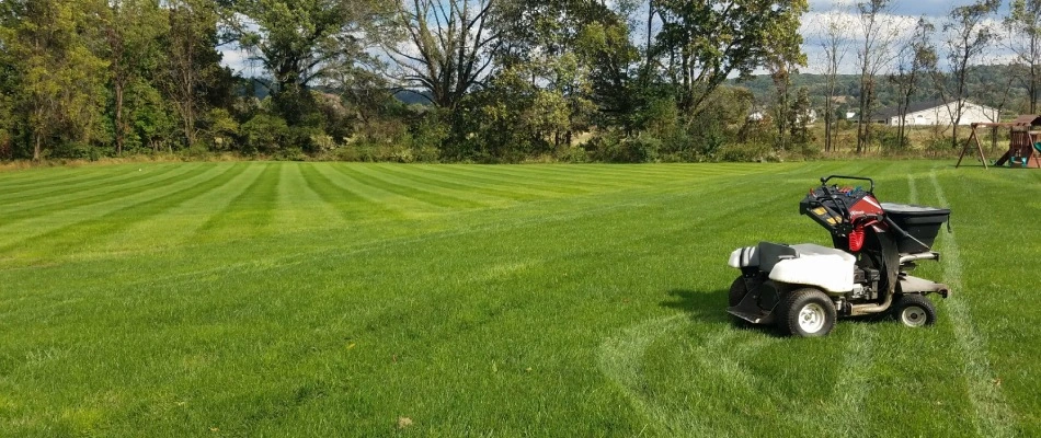 Fertilizer spreader displayed in front of lawn with patterns in Wescosville, PA.