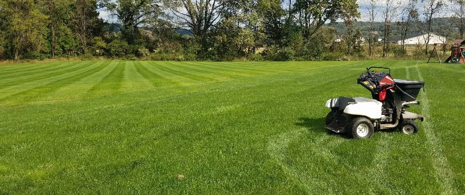 Fertilizer spreader on a lush green lawn in Coplay, PA.