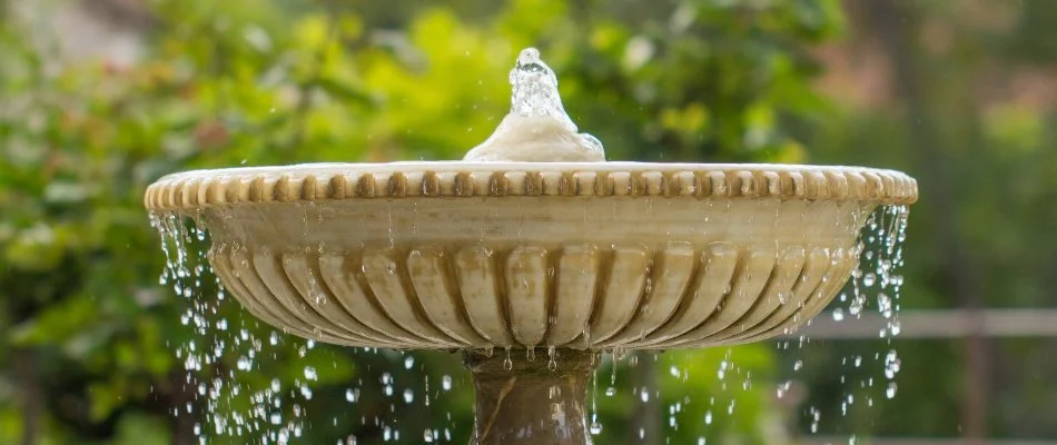 Fountain in Spinnerstown, PA, with some plants behind.