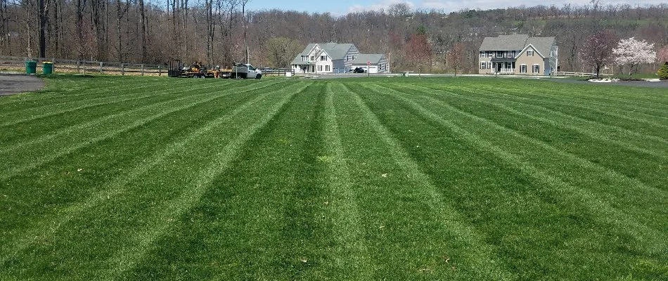 Healthy green lawn in Spinnerstown, PA, with a mowing pattern.