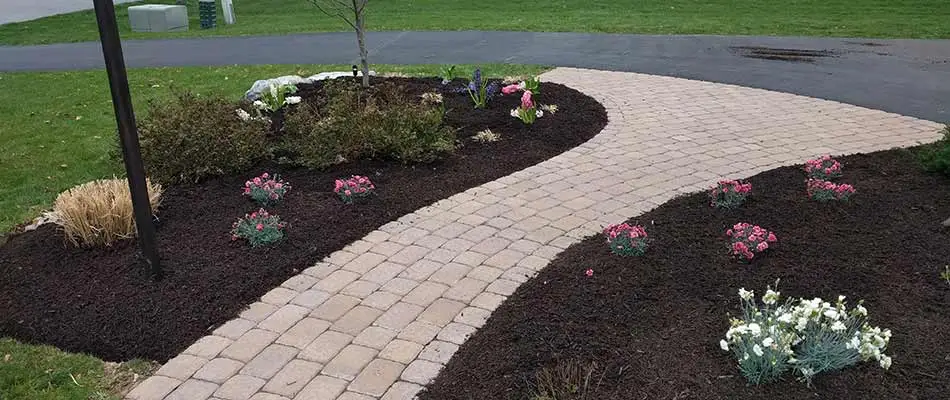 Reshaped landscape bed after spring cleanup services in Breinigsville, PA.
