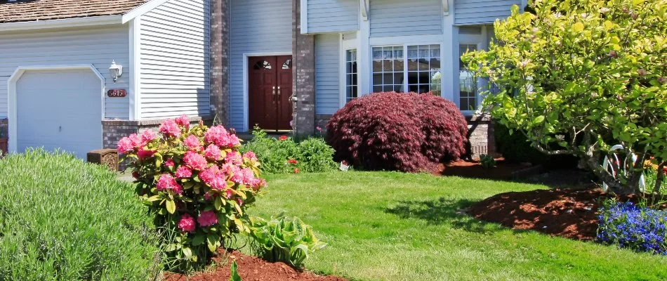 Landscape beds in Coplay, PA, with lush shrubs and colorful flowers.