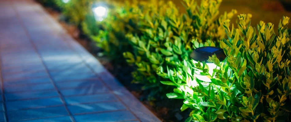 Landscape lighting installed by walkway in Emmaus, PA.