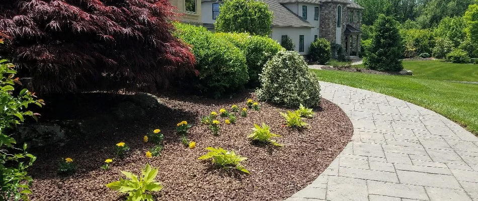 Landscape in Fountain Hill, PA, with shrubs and plants along a walkway.