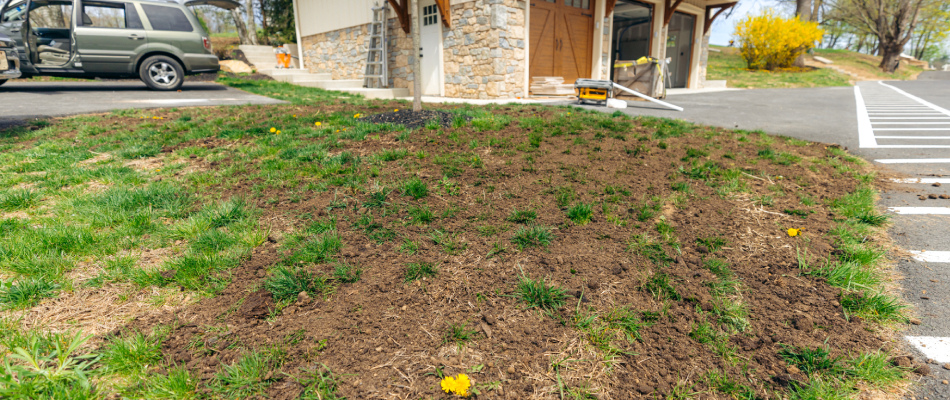 Red thread lawn disease found in client's lawn in Coopersburg, PA.