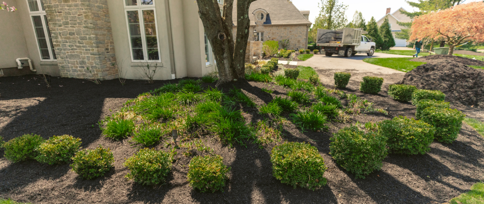 Mulch installed for landscape bed in Macungie, PA.