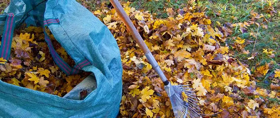 Leaves being removed during a spring cleanup in Macungie, PA.