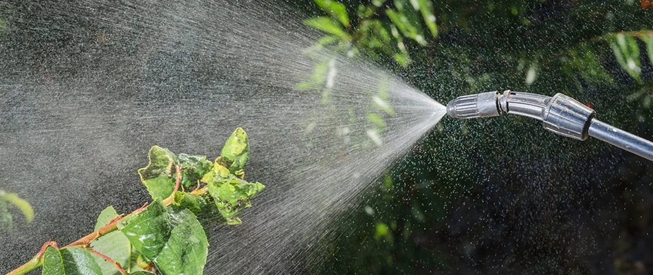 Liquid weed control being sprayed onto a lawn near East Greenville, PA.