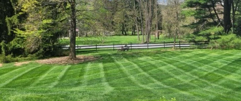 Lush green lawn in Fountain Hill, PA, with mowing pattern.