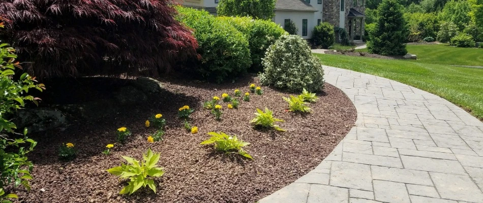 Landscape bed with mulch installed in Coopersburg, PA.