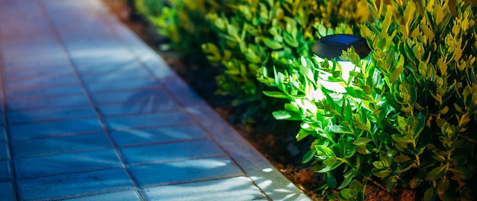 Lights installed alongside a pathway in Allentown, PA.