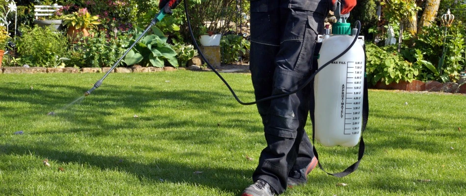 Professional spraying pesticide around lawn in Coopersburg, PA.