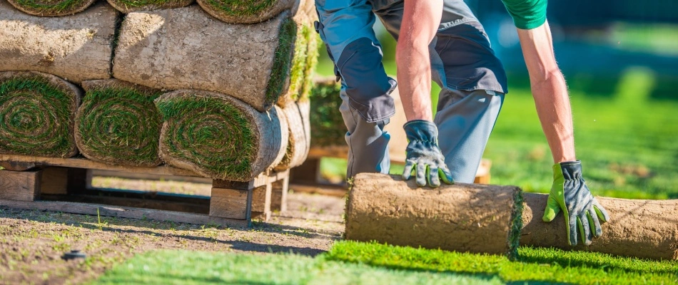 Professional rolling sod onto lawn in Wescosville, PA.