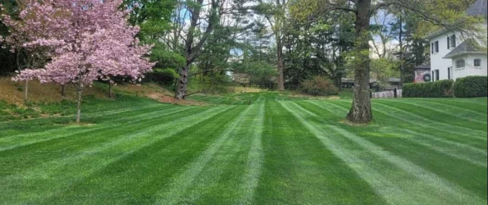 Lawn with mowing stripes in Hellertown, PA.
