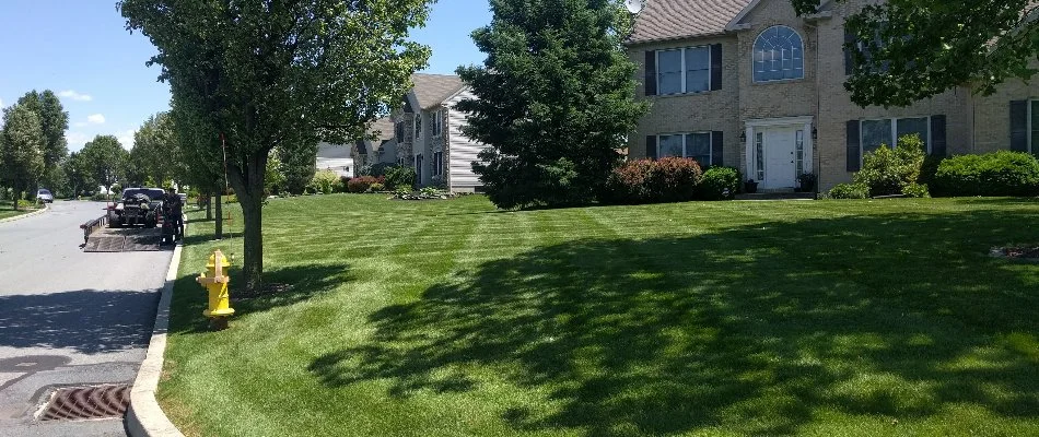 Manicured lawn with shade from a tree on a property in Egypt, PA.