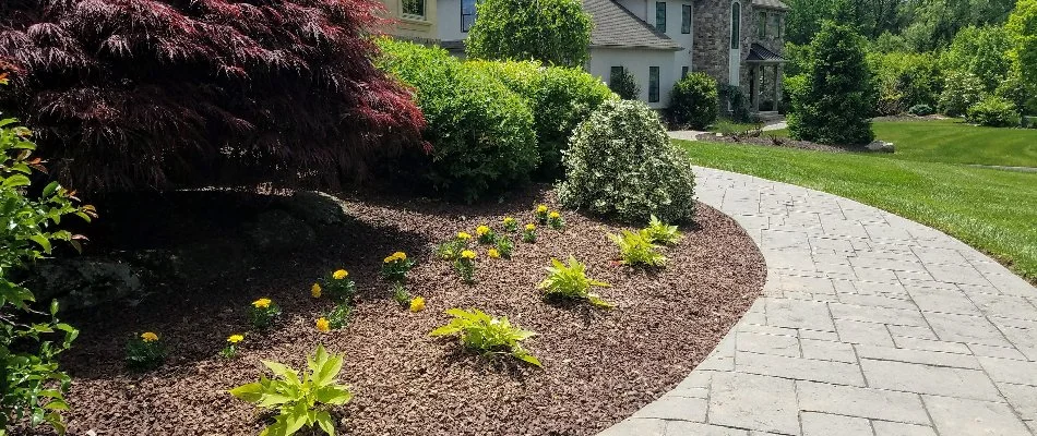 Walkway in Zionsville, PA, beside a landscape bed with plants.