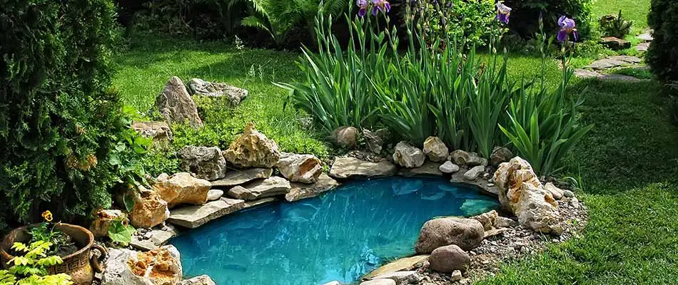 Pond water feature near Zionsville, PA.