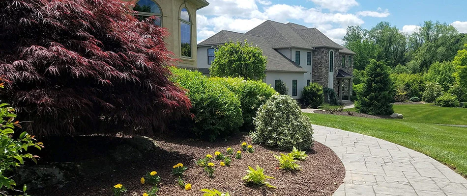 Well maintained landscape beds after a fall cleanup near Coopersburg, PA.