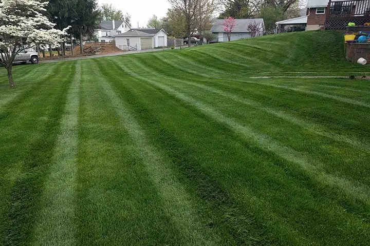 Recently mowed home lawn in Emmaus, Pennsylvania.